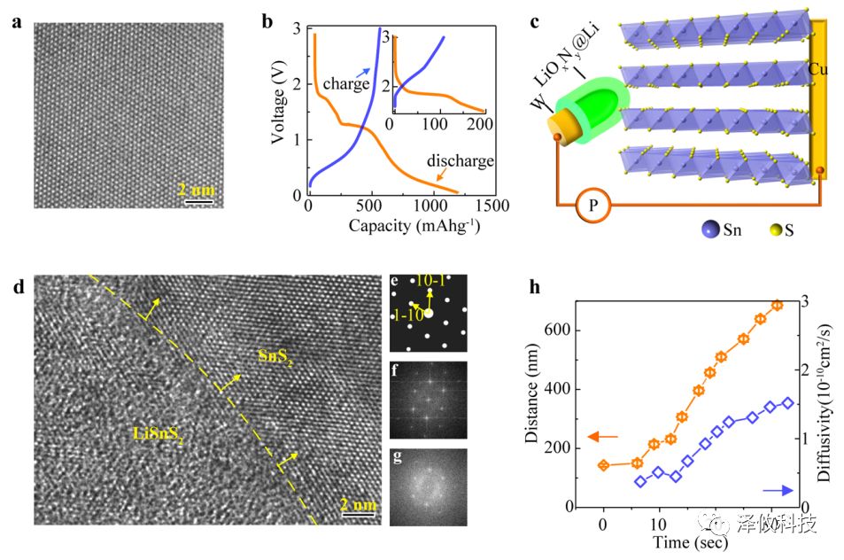 原位样品杆应用展示图