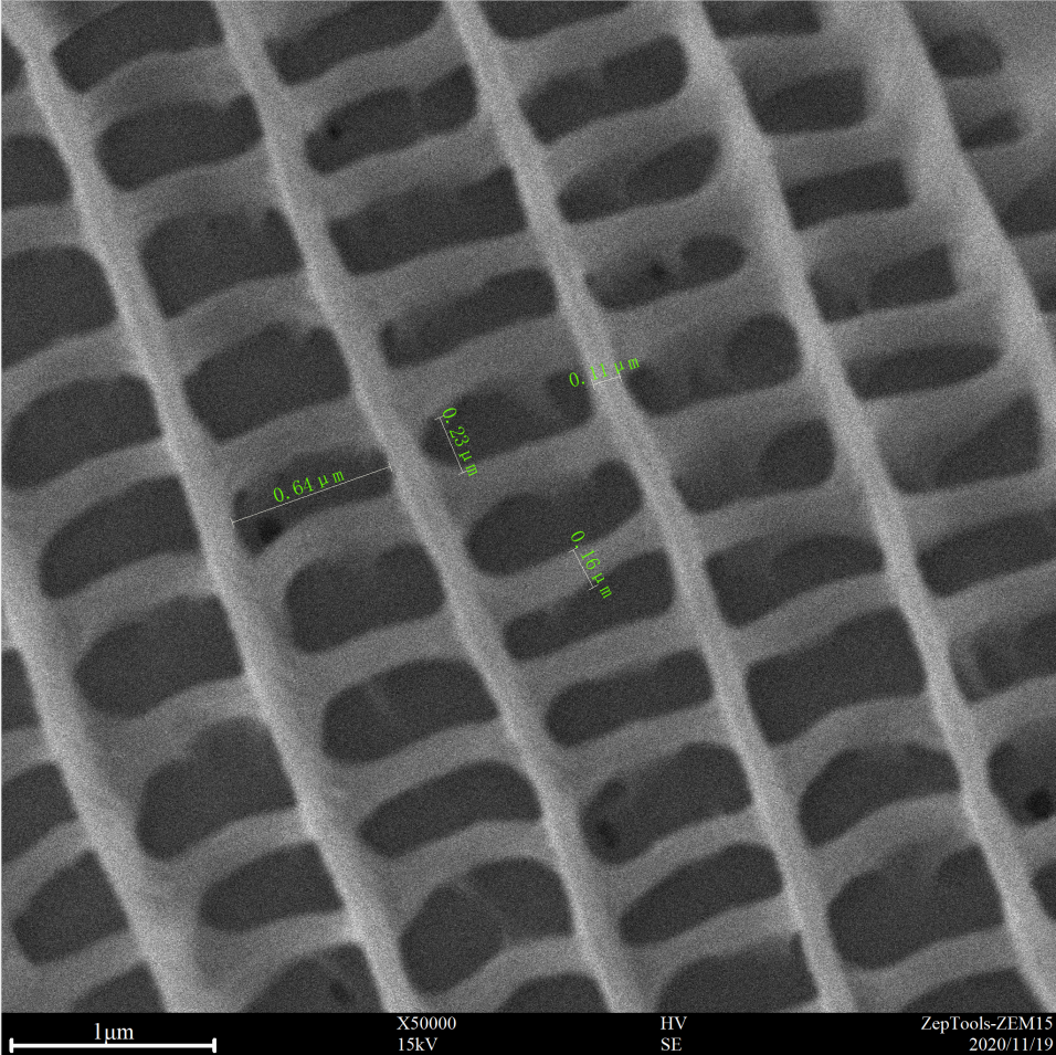 台式扫描电镜50000倍下的飞蛾翅膀