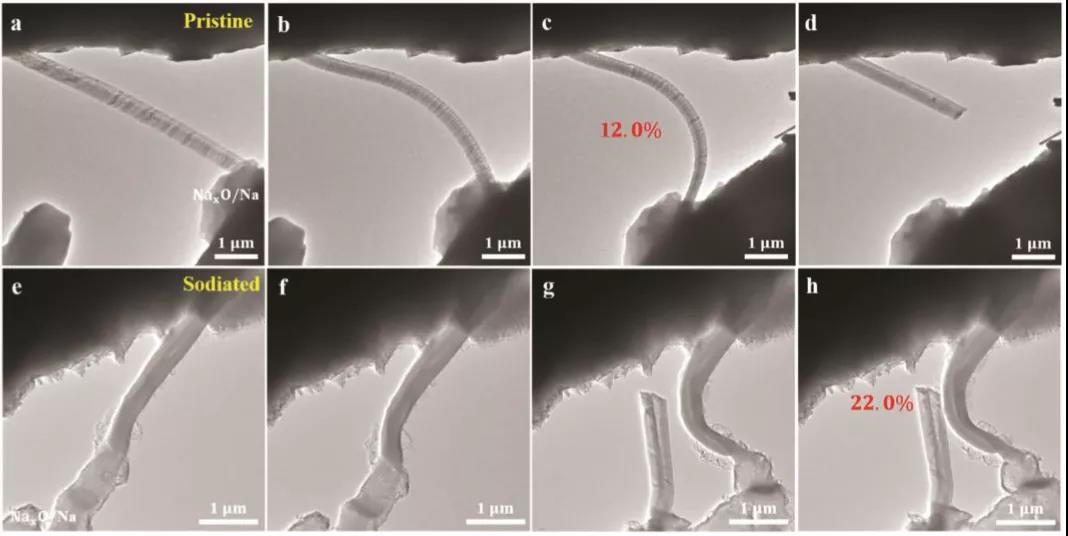 图5 原位机械性能表征
