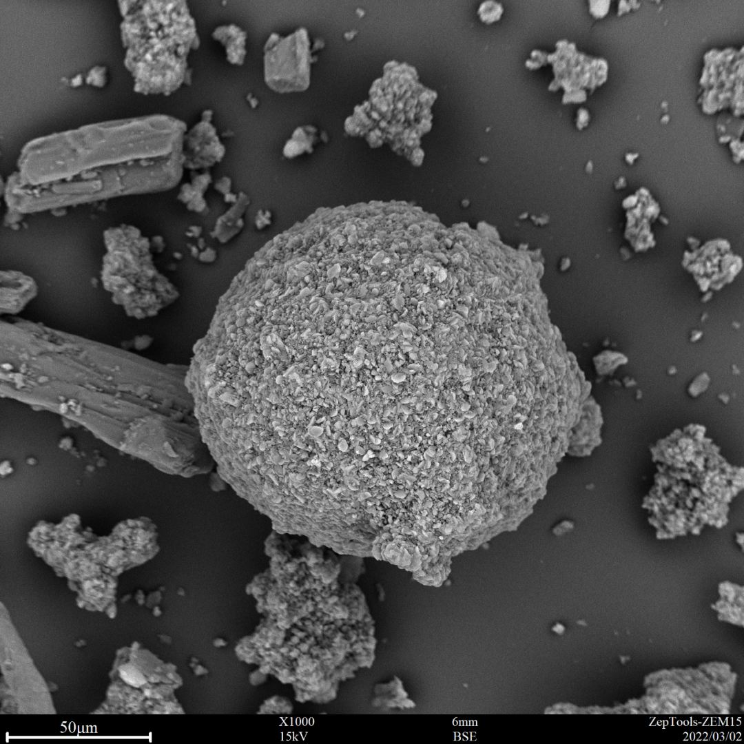 图2 头孢（台式扫描电镜1000倍照）