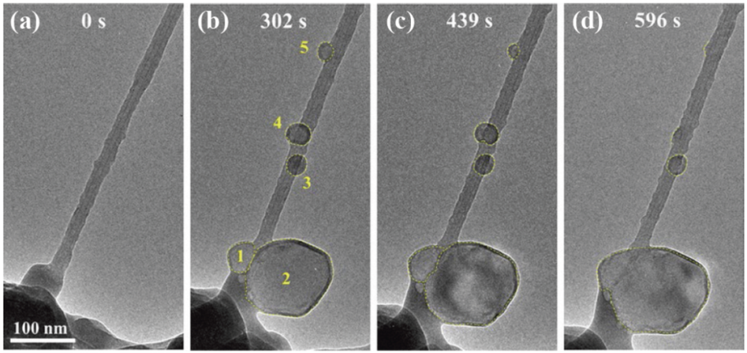 图2 沉积在MWCNT/Na2CO3/CO2上的纳金属的EOR过程
