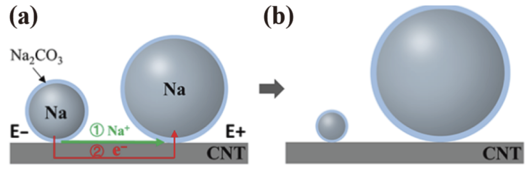 图3 电化学奥斯瓦尔德熟化路径1