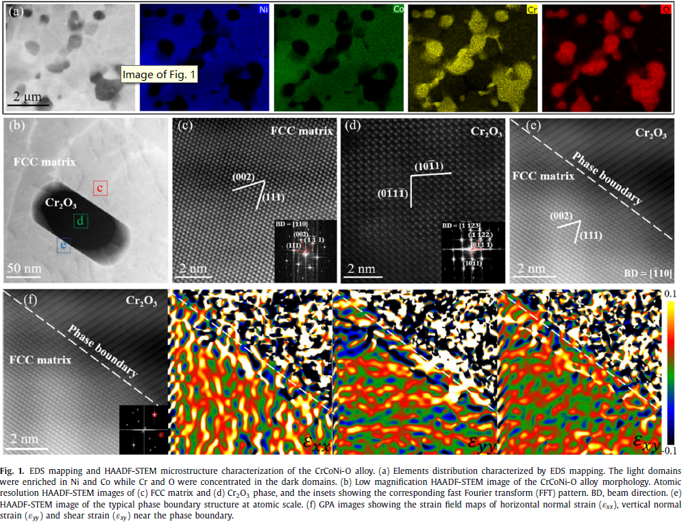 图1 CrCoNi-O 合金的前期微观结构表征.png