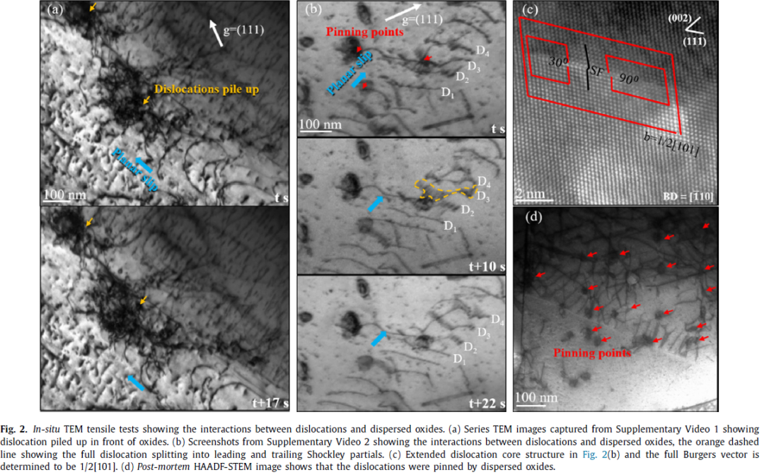图2 CrCoNi-O 合金原位拉伸下的微观结构表征.png