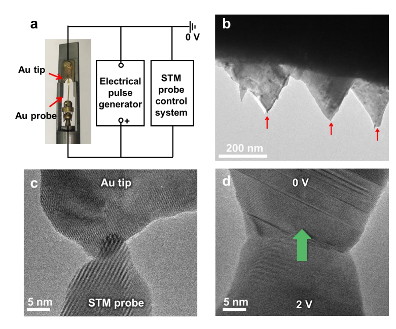 透射电镜中原位电脉冲实验装置的搭建