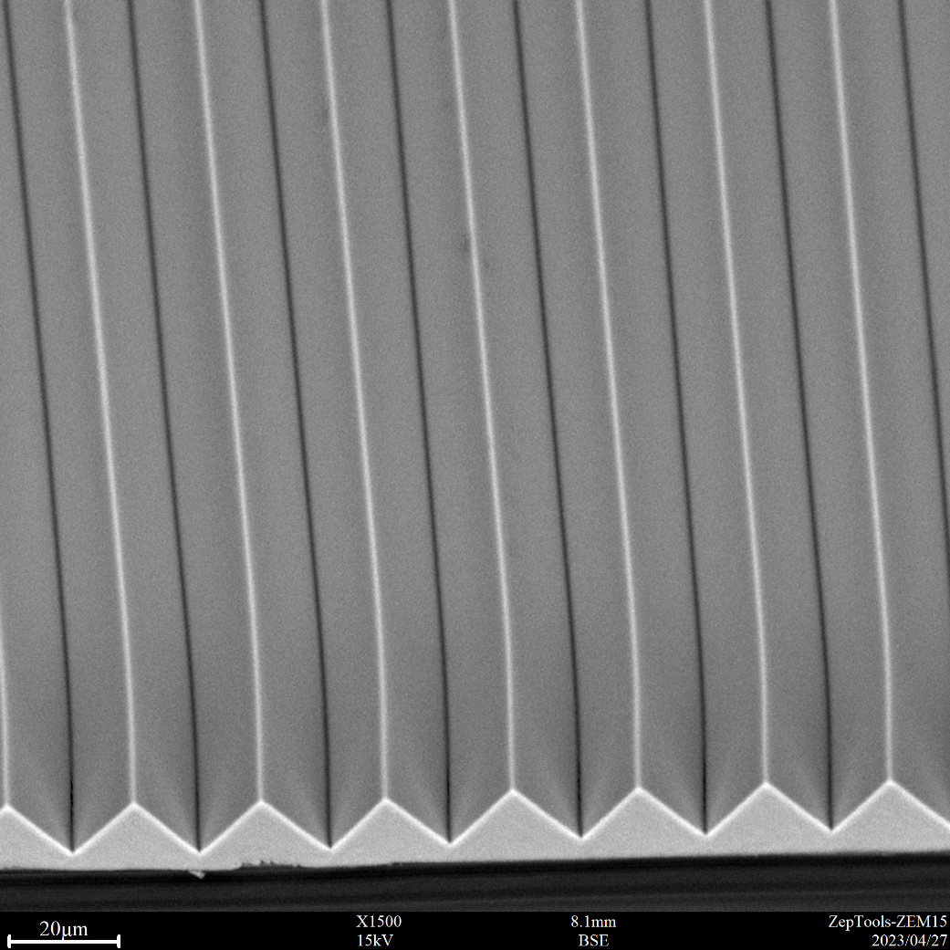 3M增量膜表面微观结构的SEM观察, BSE图像 3M增量膜表面微观结构的SEM观察, BSE图像