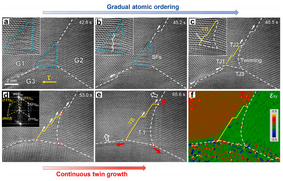 三叉晶界重构区域的动态结构演化及其对晶界网络演变的影响