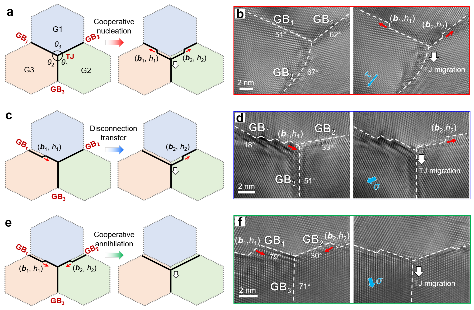 通过邻近晶界的失配位错动力学实现稳态TJ迁移