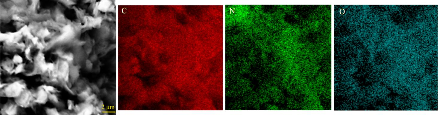GO与三聚氰胺(1:2)混合体系在550℃热处理后的微观形貌及表面元素分布特征