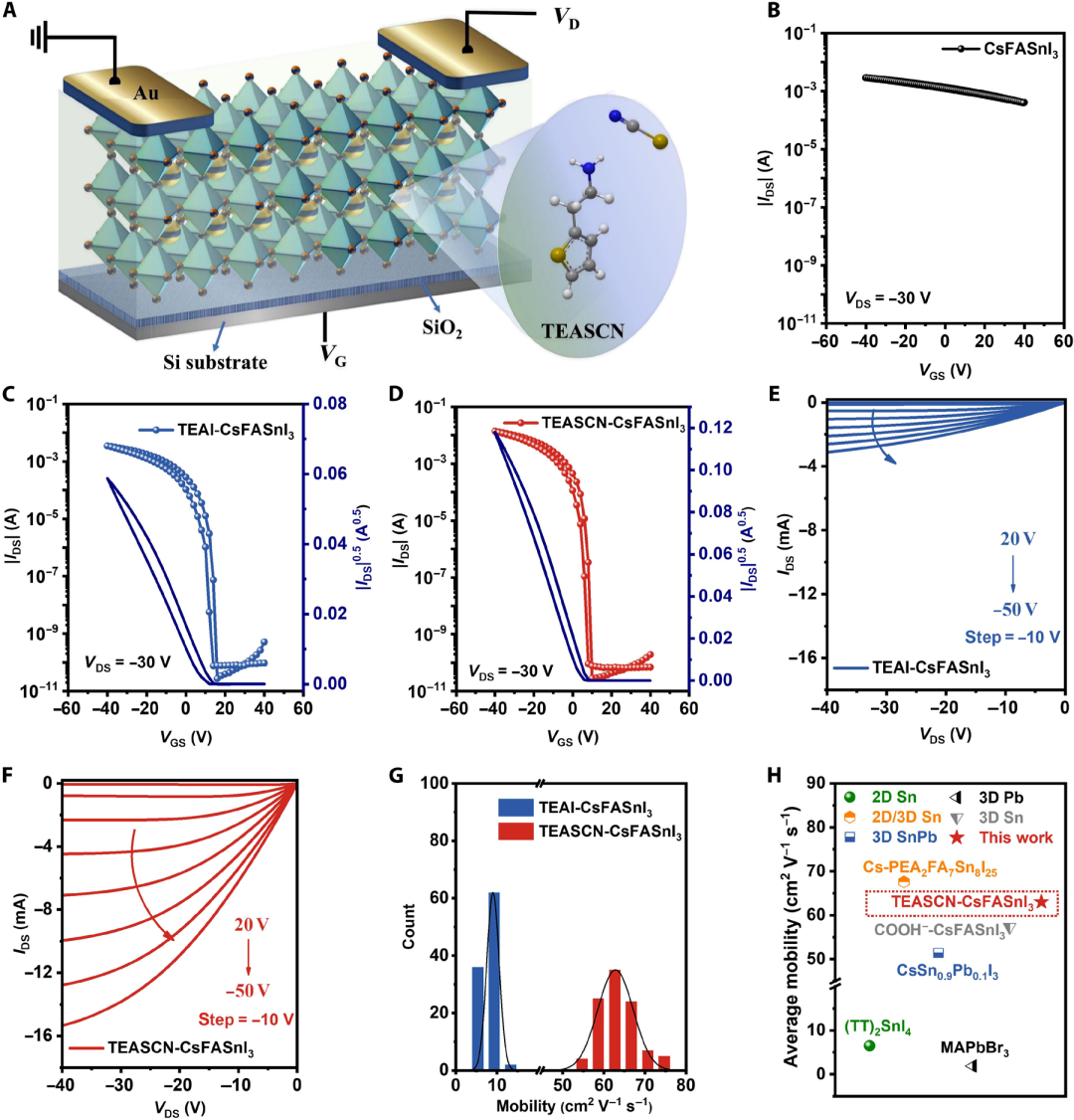 188博金宝网页官网JS系列台阶仪