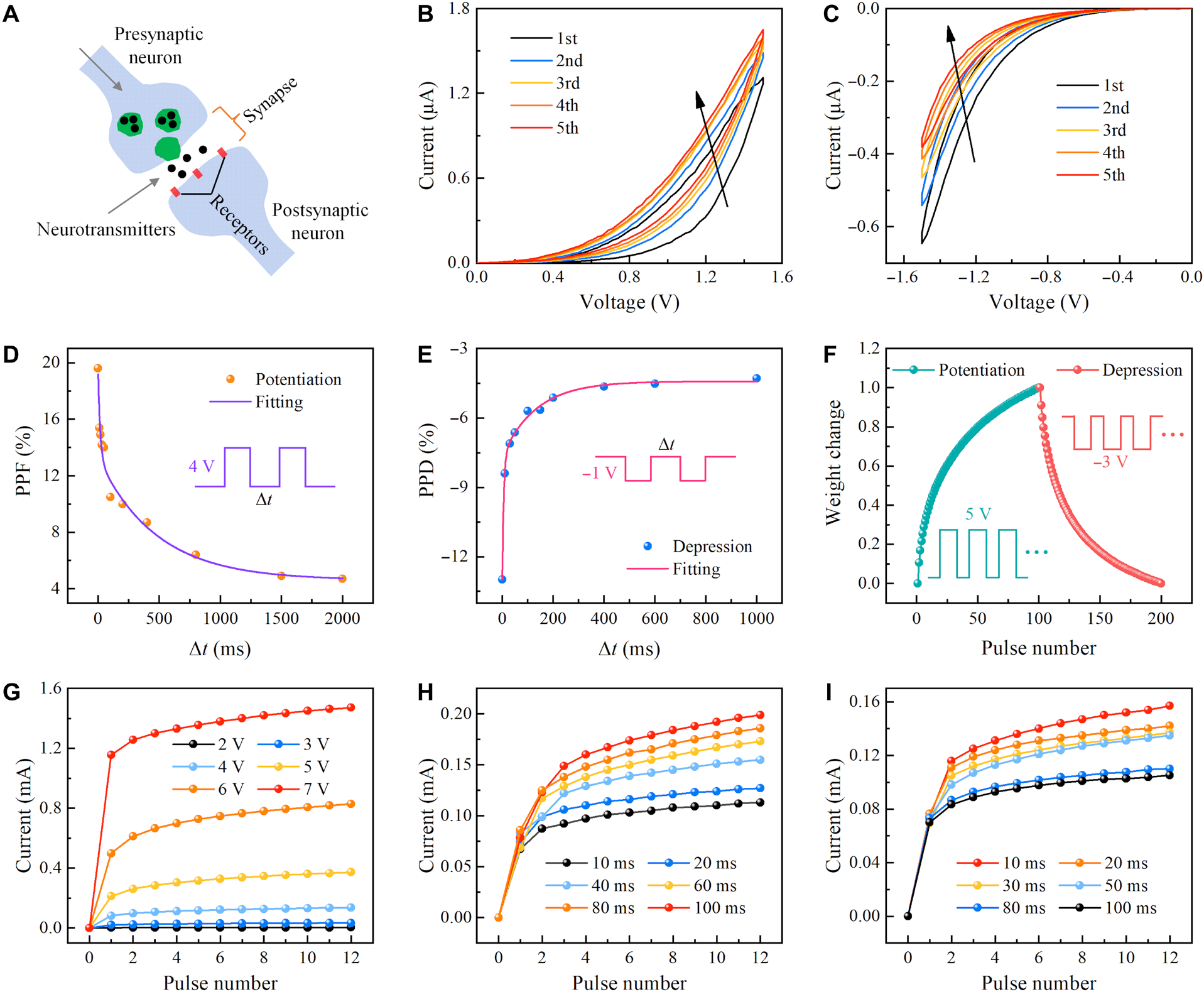 188博金宝网页官网原位TEM