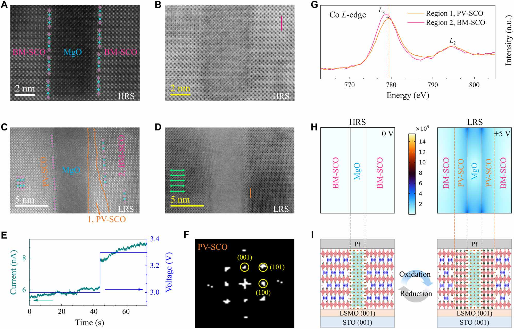 188博金宝网页官网原位TEM