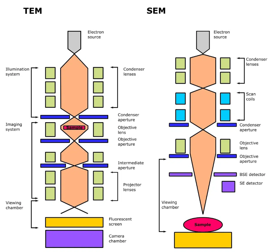 电子显微镜技术