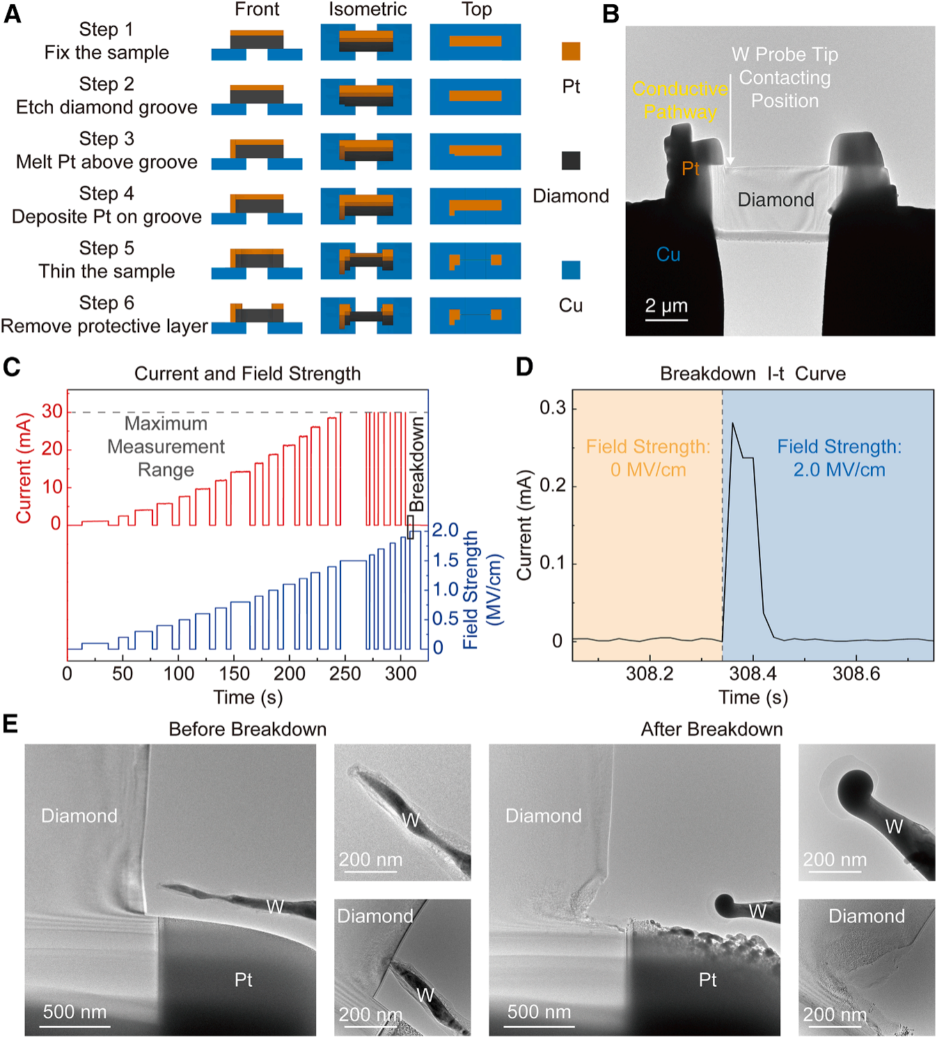 188博金宝网页官网原位TEM 