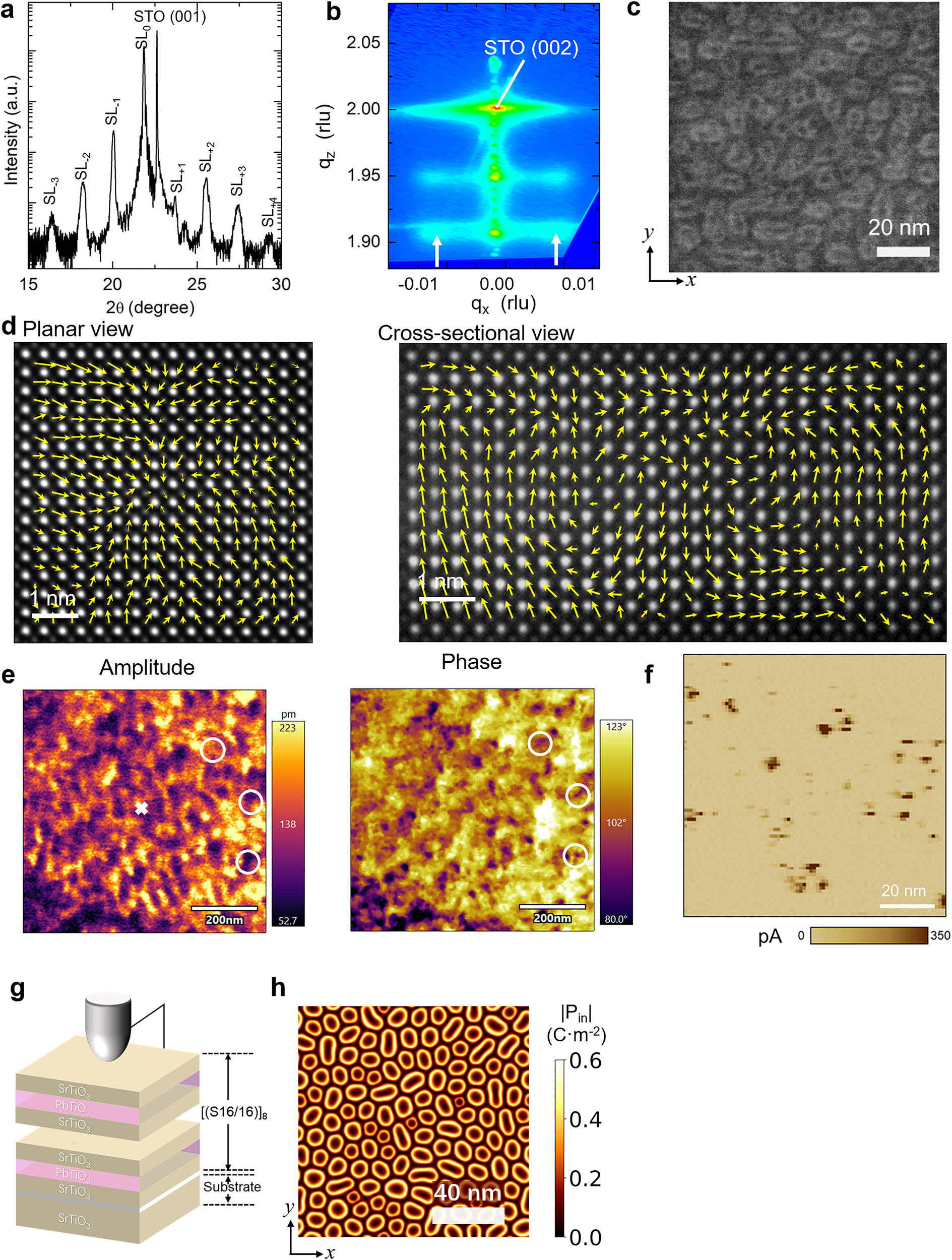 原位电子显微镜