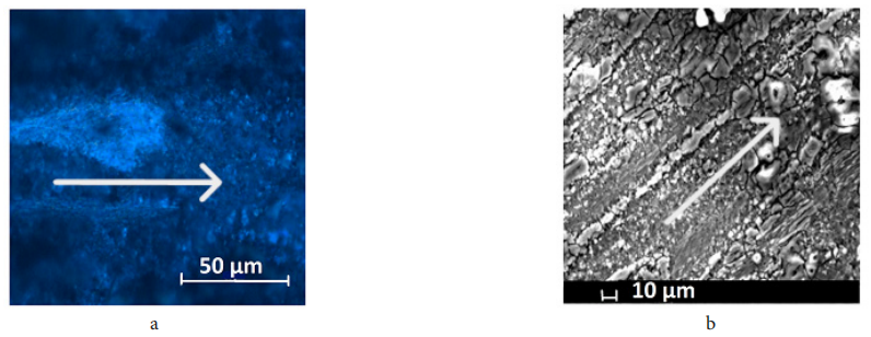 188博金宝网页官网ZEM系列扫描电镜