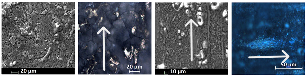 188博金宝网页官网ZEM系列扫描电镜