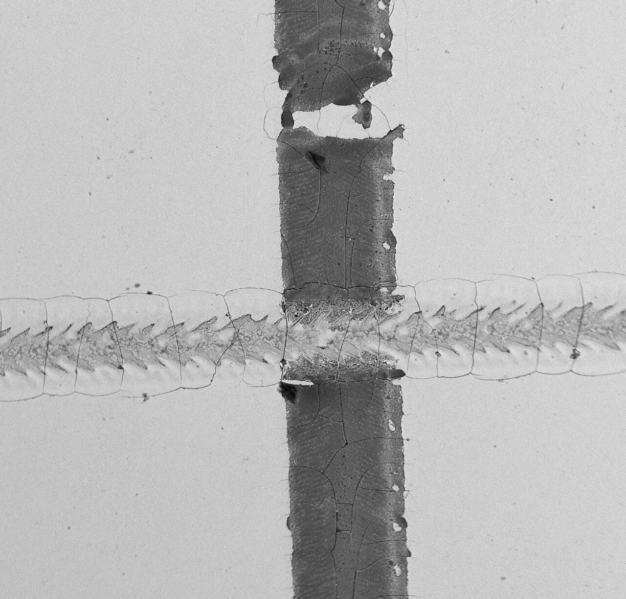 188博金宝网页官网 188博金宝网页官网