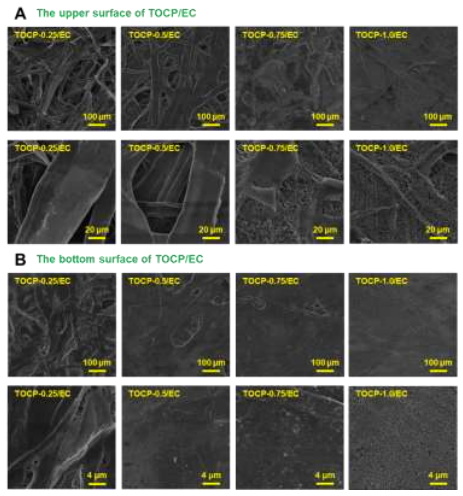 188博金宝网页官网ZEM系列扫描电镜